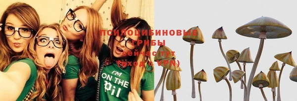 ешки Надым