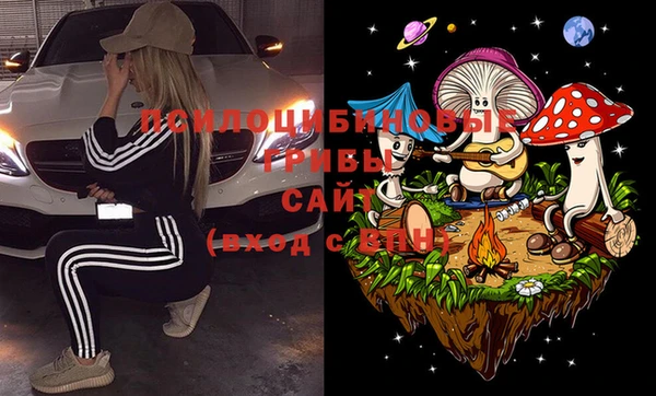 ешки Надым