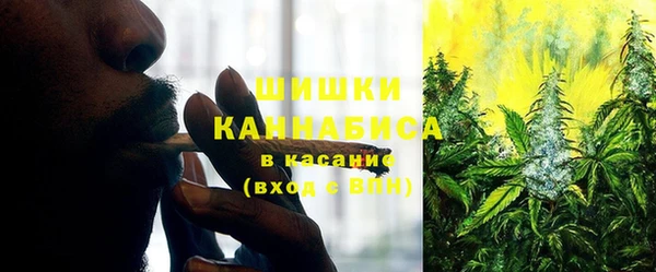 ешки Надым