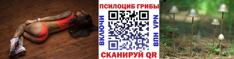 сколько стоит  Усмань  Галлюциногенные грибы мухоморы 